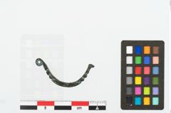 Foto von Bronzebogenfibel (NHMW-PRAE-078064)